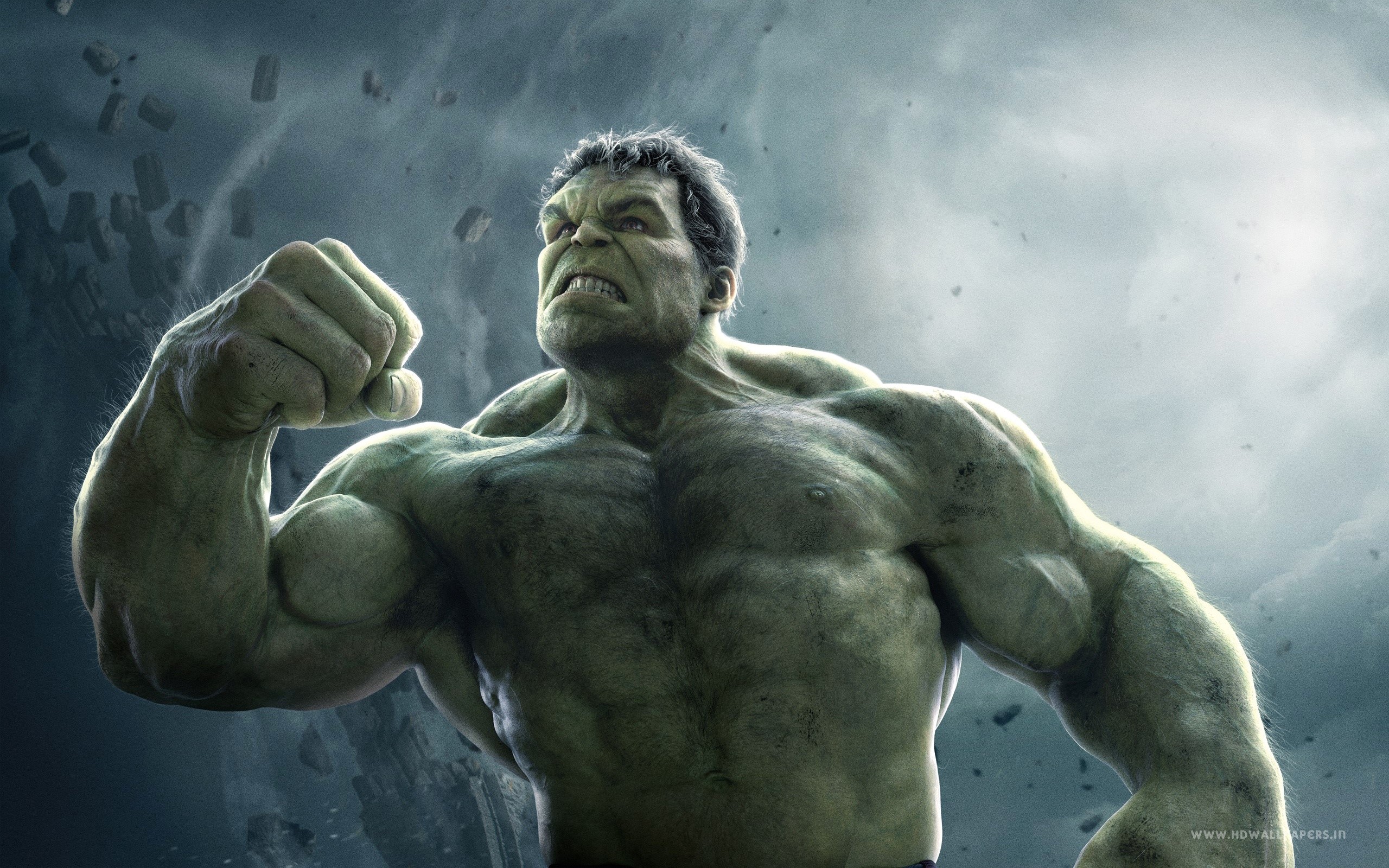 10 Curiosidades Sobre O Hulk Hqzona