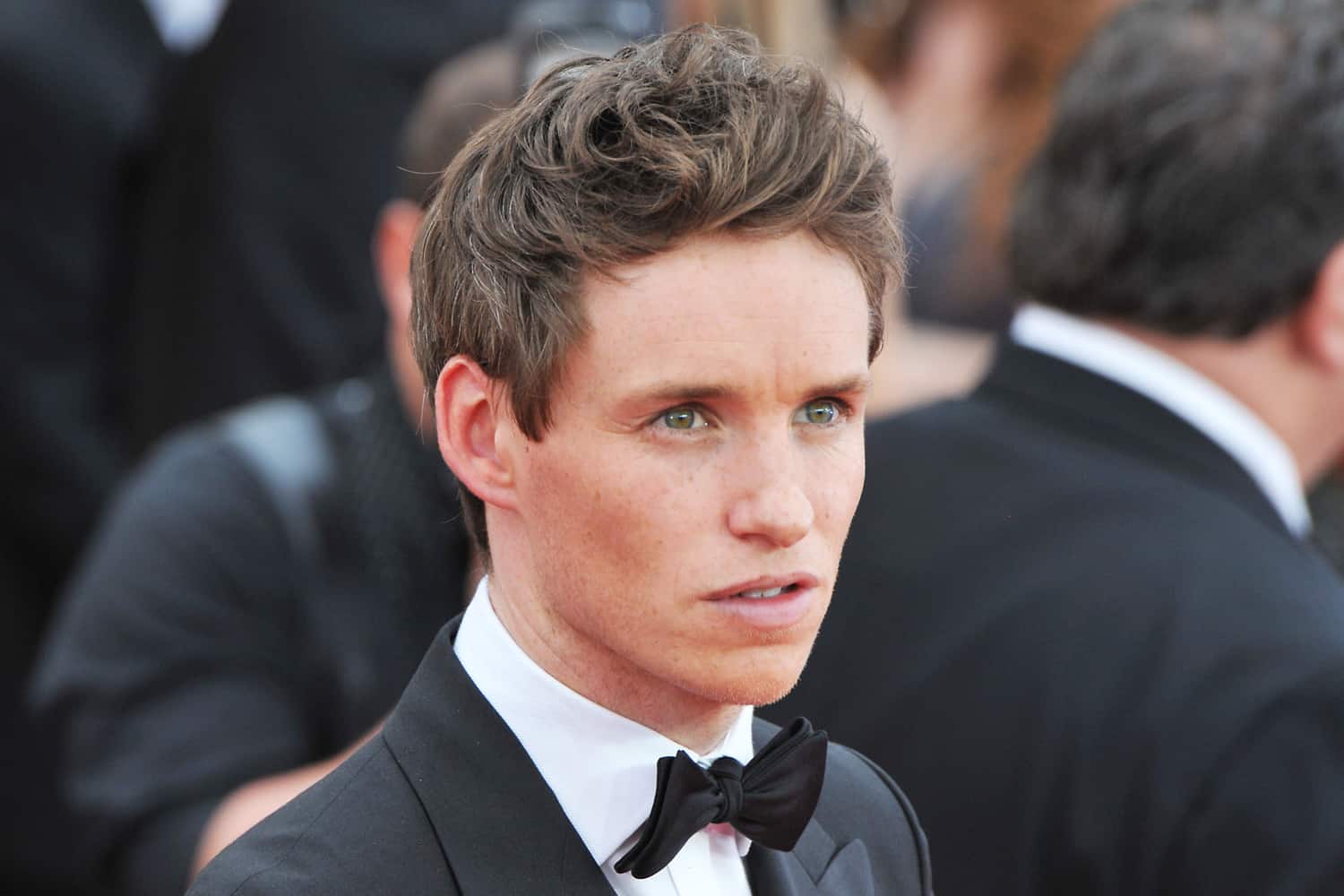 DC Filmes | Eddie Redmayne tem interesse de interpretar o Charada nos cinemas