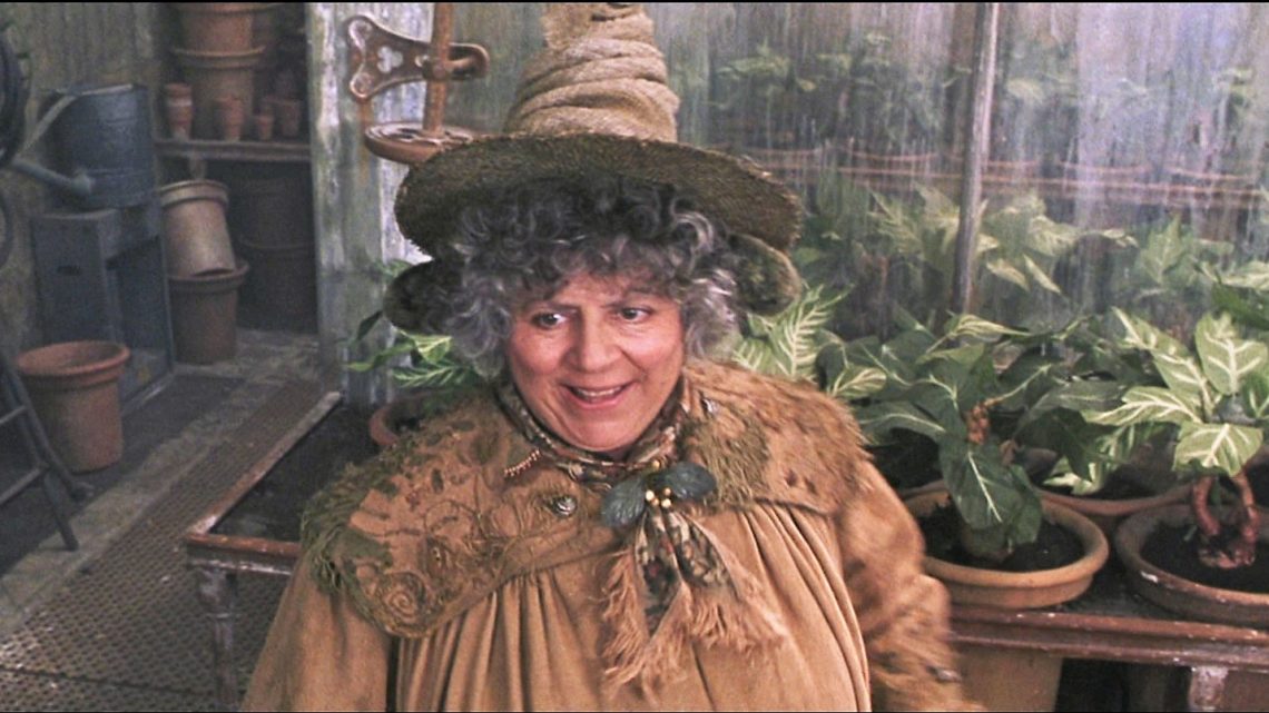 Miriam Margolyes fala sobre discursos transfóbicos da JK Rowling