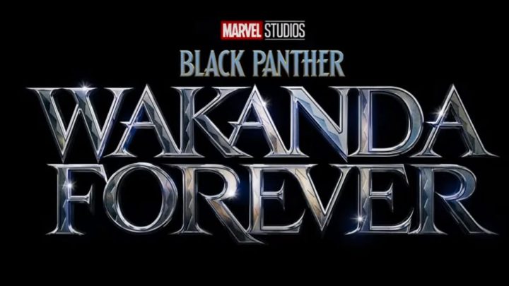 O que esperar de ‘Black Panther: Wakanda Forever’ e ‘The Marvels’